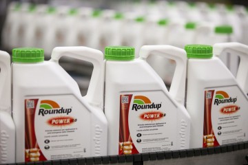 Trump EPA insists Monsanto's Roundup is safe, despite cancer cases